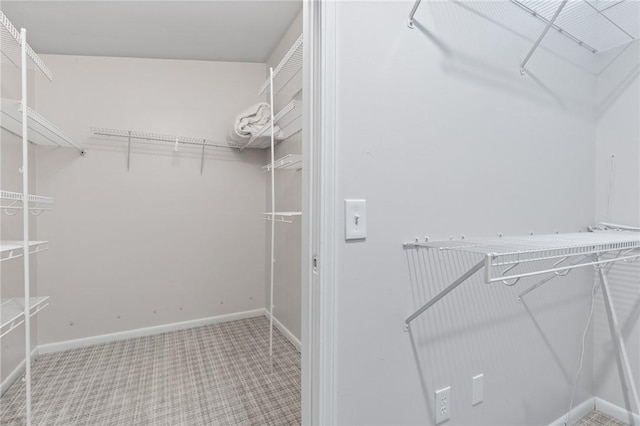walk in closet with carpet flooring