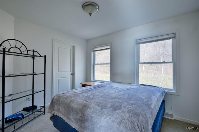 46139 County Route 191, Orleans, NY 13640 - bedroom with carpet floors, baseboards, and visible vents
