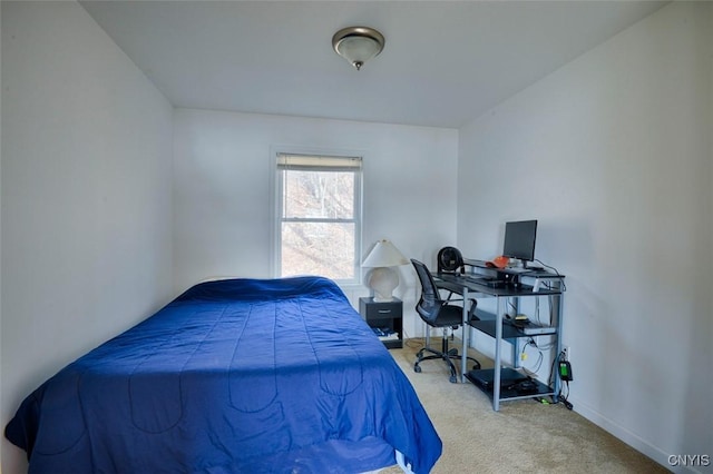 46139 County Route 191, Orleans, NY 13640 - bedroom featuring carpet floors and baseboards