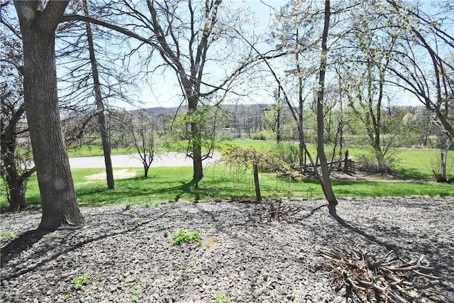 150 Monroe Dr, Horseheads, NY 14845 - view of yard