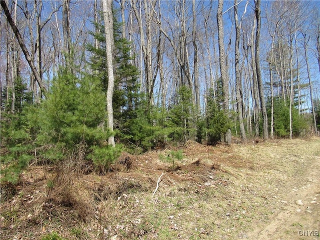 Alder Rd, Forestport, NY 13494