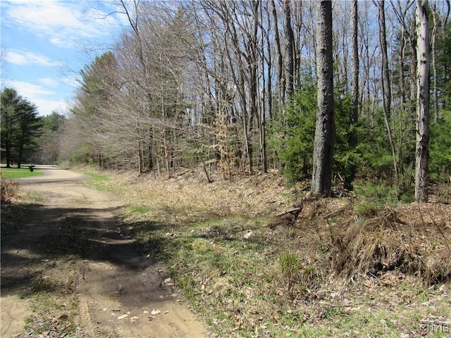 Alder Rd, Forestport, NY 13494