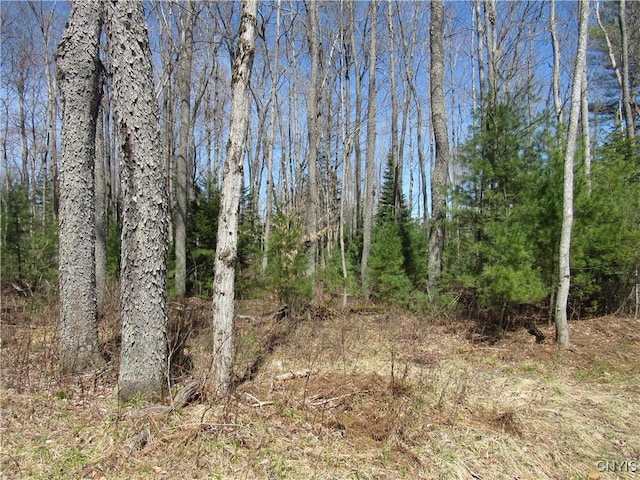 Alder Rd, Forestport, NY 13494