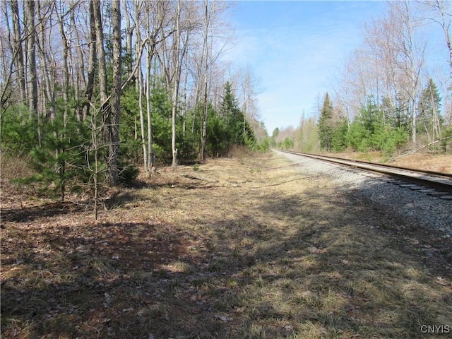 Alder Rd, Forestport, NY 13494