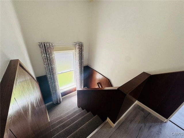 stairs featuring wood finished floors