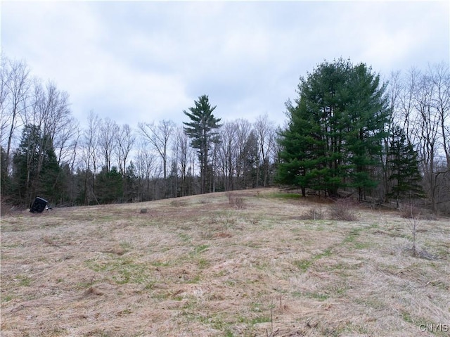 364 W End Rd, Fairfield, NY 13365 - view of local wilderness