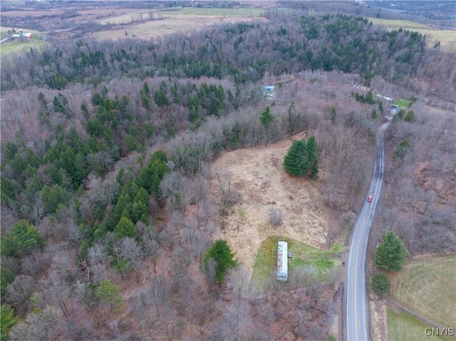 364 W End Rd, Fairfield, NY 13365 - birds eye view of property
