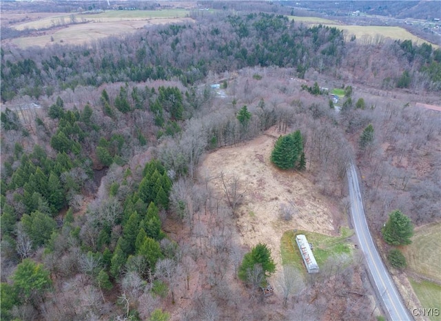 364 W End Rd, Fairfield, NY 13365 - bird's eye view featuring a rural view