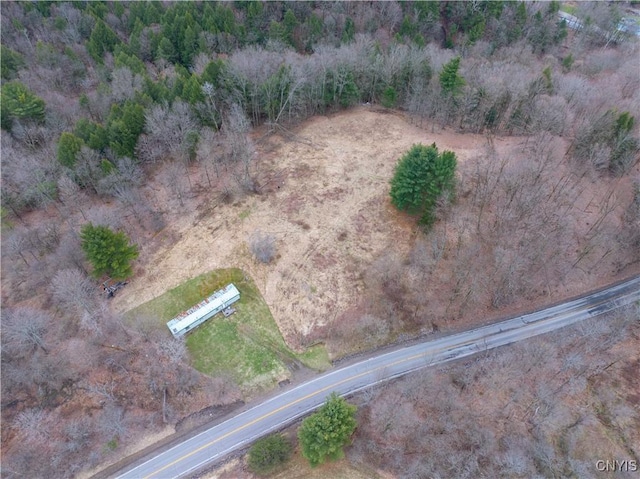364 W End Rd, Fairfield, NY 13365 - birds eye view of property