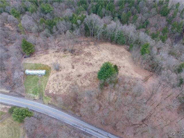 364 W End Rd, Fairfield, NY 13365 - drone / aerial view