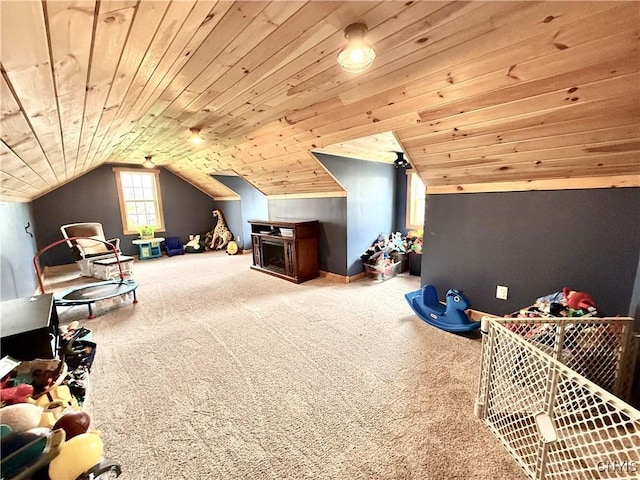 28053 Boat Launch Rd, Lyme, NY 13622 - interior space with carpet floors, vaulted ceiling, and wooden ceiling