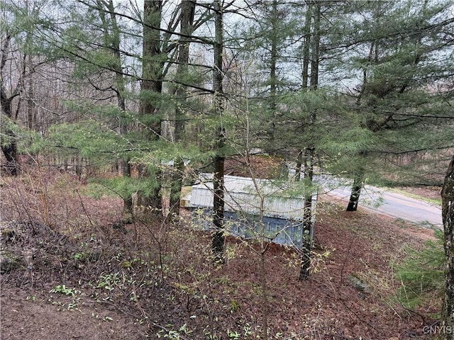 view of landscape with a forest view