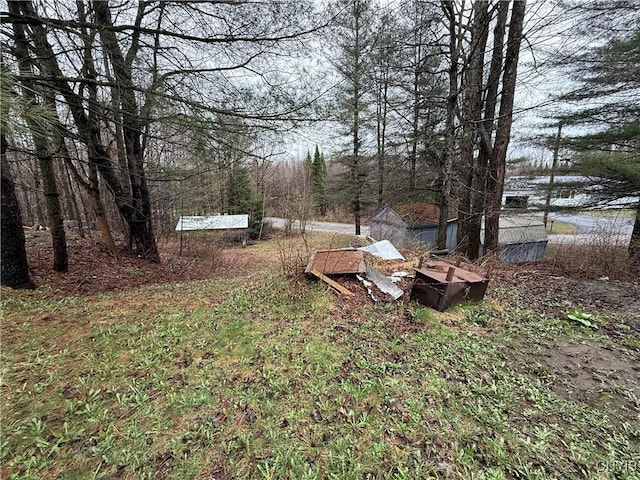 view of yard with a forest view