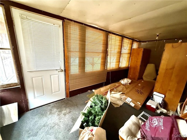 interior space with carpet