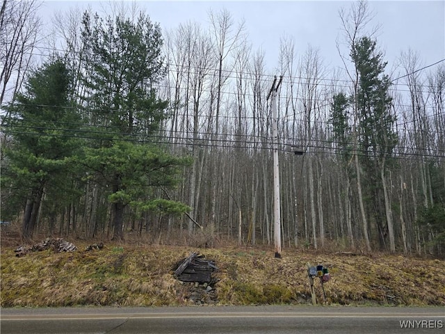 view of nature featuring a forest view