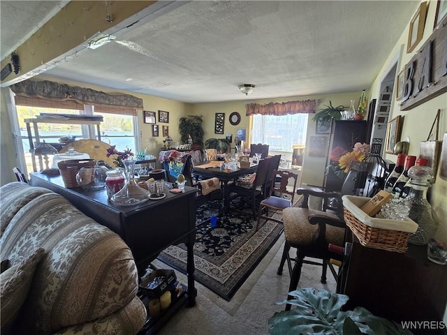 carpeted living area with plenty of natural light and a textured ceiling