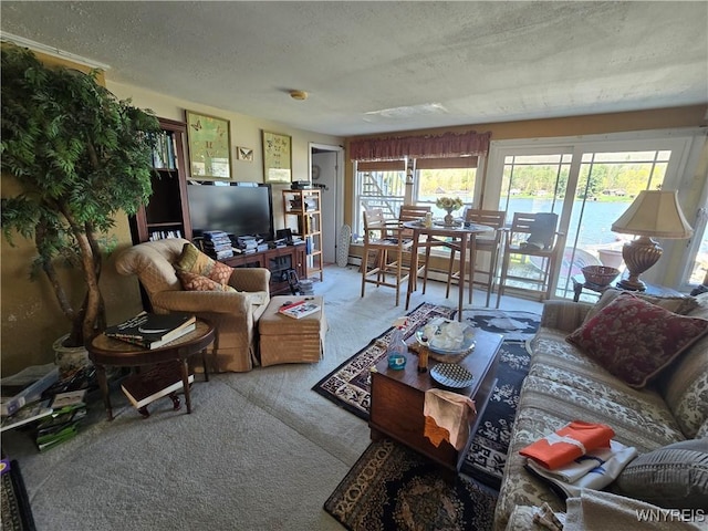 living room with carpet floors and a textured ceiling
