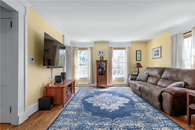 living area featuring baseboards and wood finished floors
