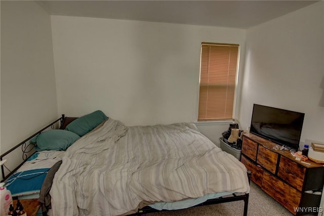 bedroom with carpet