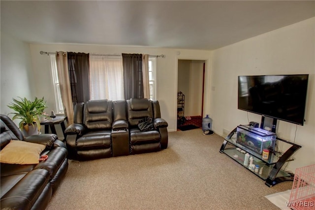 living area featuring carpet