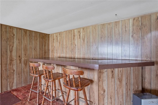 bar with wood walls and a dry bar