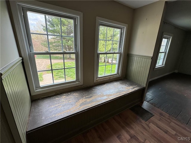 entryway featuring wainscoting, wood finished floors, and plenty of natural light