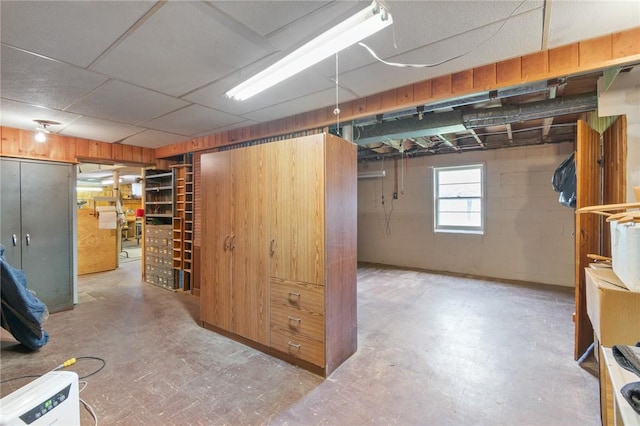 basement with wooden walls