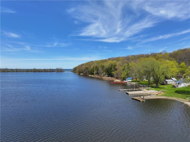 view of water feature with a boat dock