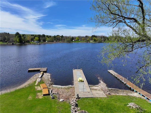 dock area with a water view