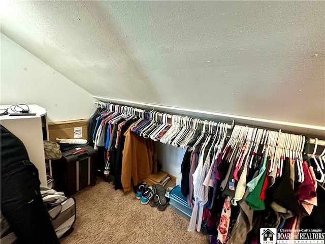 walk in closet with carpet flooring
