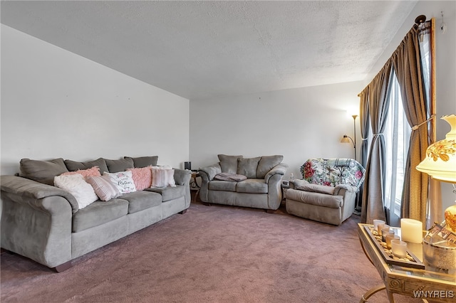 carpeted living area with a textured ceiling