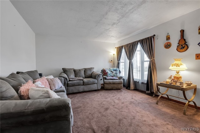 carpeted living room with a textured ceiling