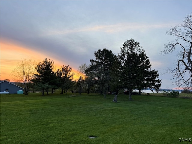 2203 State Route 90th Rd, Ledyard, NY 13026 - view of yard