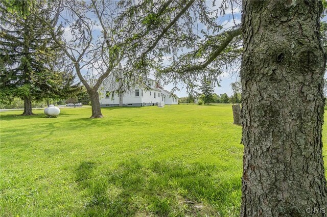 2203 State Route 90th Rd, Ledyard, NY 13026 - view of green lawn