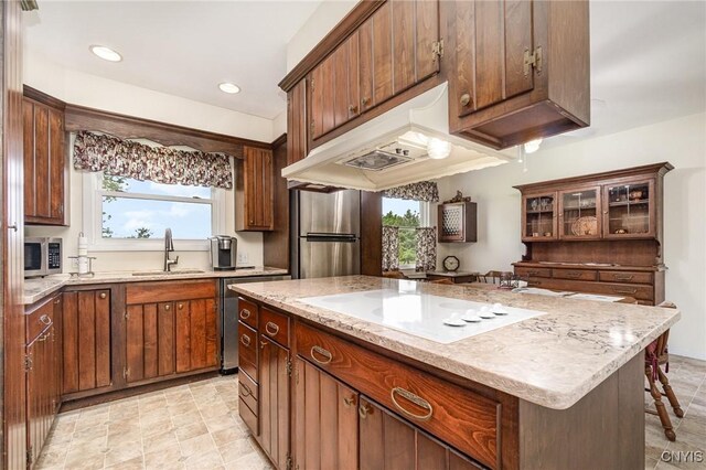 2203 State Route 90th Rd, Ledyard, NY 13026 - kitchen featuring a sink, stainless steel appliances, custom range hood, plenty of natural light, and recessed lighting