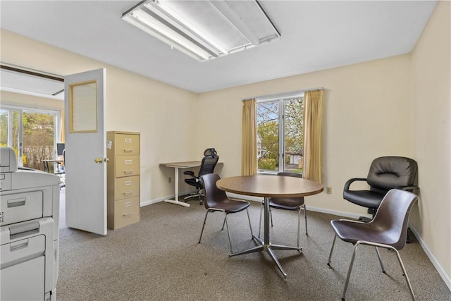interior space featuring baseboards, attic access, and a wealth of natural light