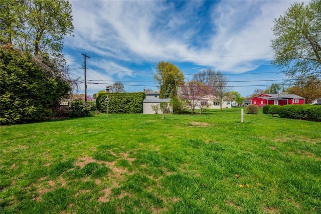 view of yard