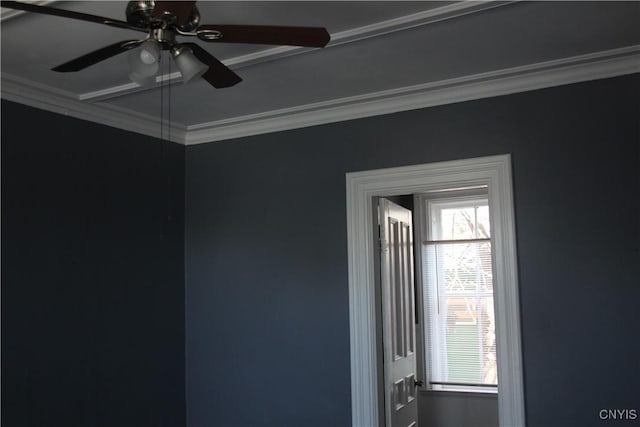 details featuring crown molding and a ceiling fan