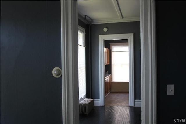 hall featuring baseboards, ornamental molding, dark wood-style flooring, and radiator heating unit