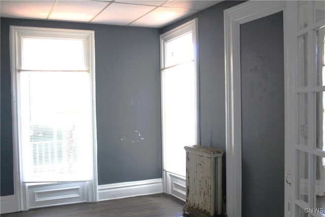 empty room featuring dark wood-style floors and a wealth of natural light