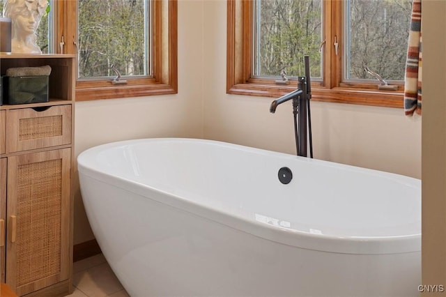 bathroom with a freestanding bath
