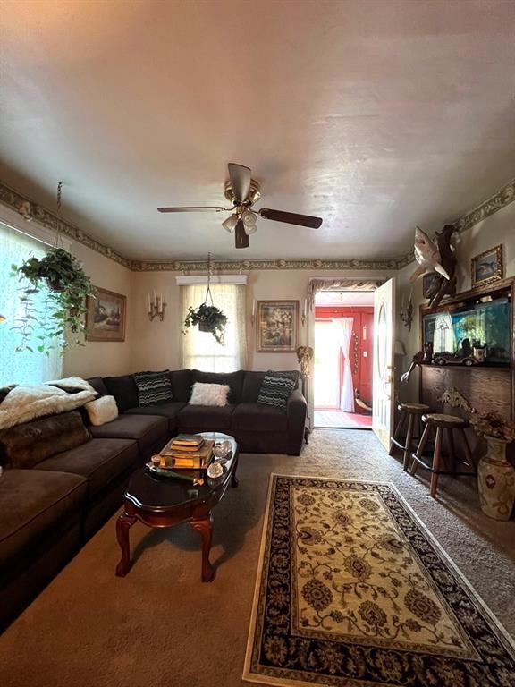 living area featuring carpet and a ceiling fan