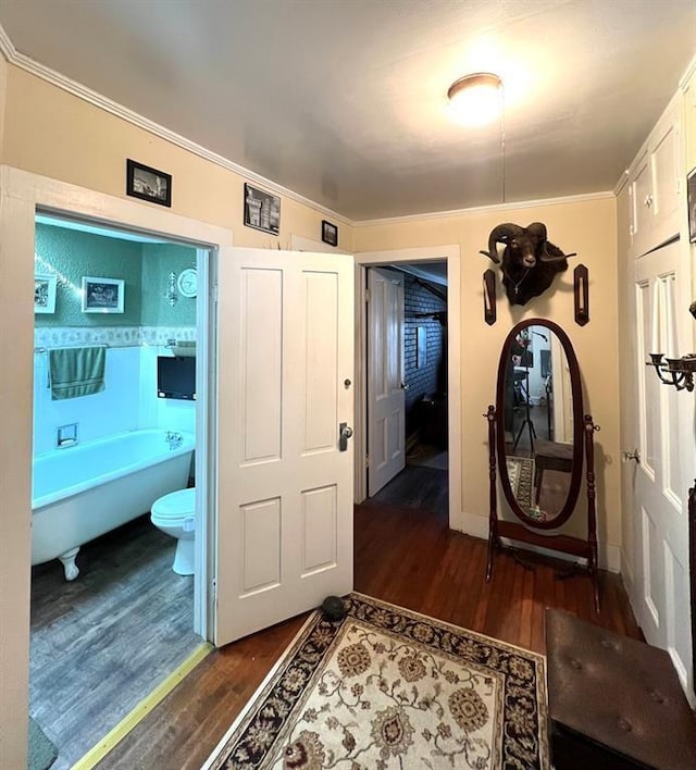 foyer featuring crown molding and dark wood finished floors