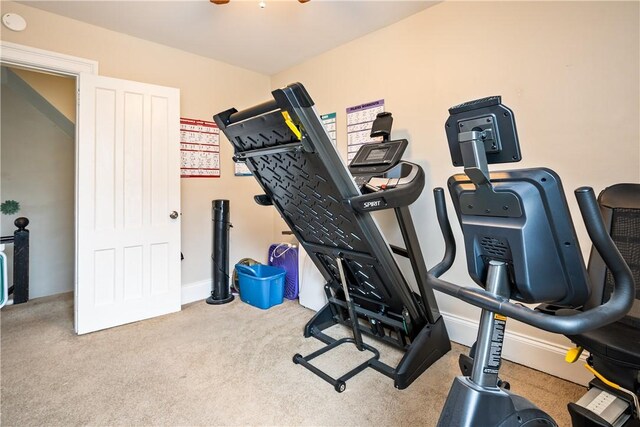 workout area with carpet flooring