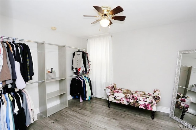 walk in closet featuring a ceiling fan and wood finished floors