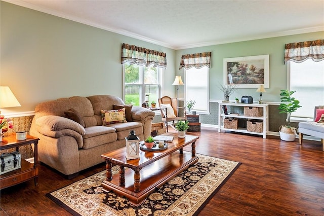 living room featuring crown molding, baseboards, and wood finished floors