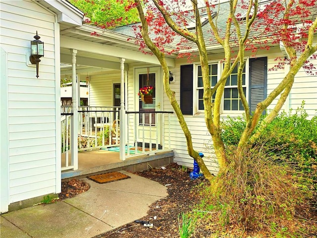 entrance to property featuring a porch