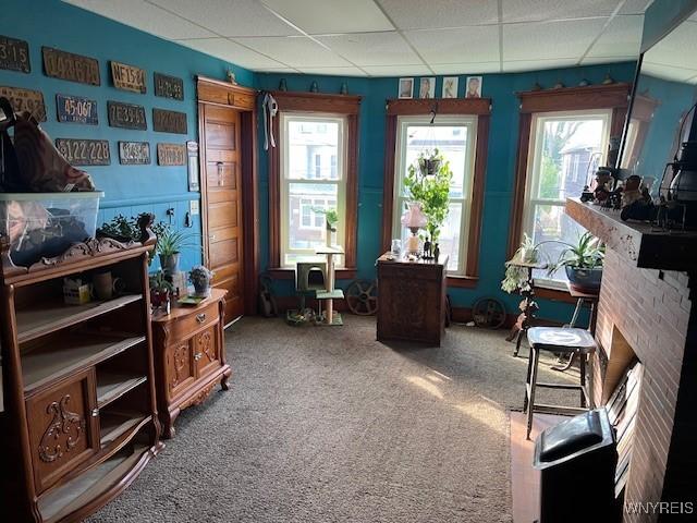sitting room featuring carpet floors and a paneled ceiling
