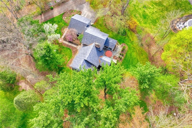 bird's eye view