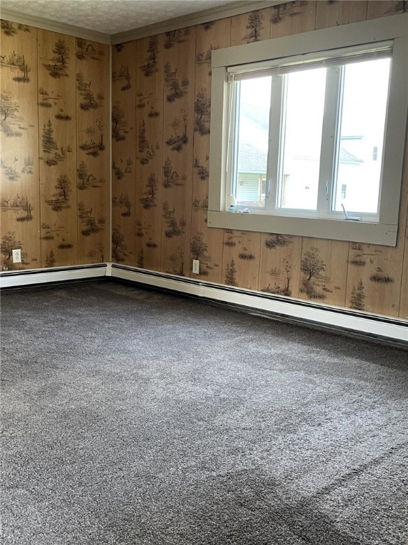 25 W Greenwood St, Andover, NY 14806 - spare room featuring carpet floors, a baseboard heating unit, a textured ceiling, and wood walls